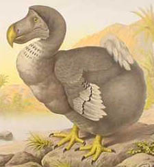 Kunsthaus Eigenregie - Dodo, spontaner Sketch von Ulan & Bator